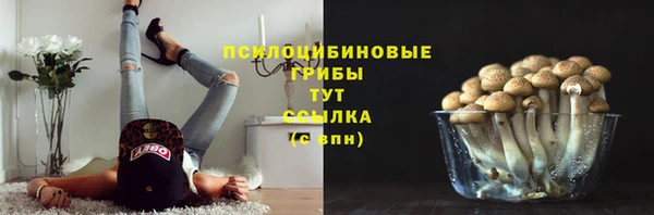 каннабис Арсеньев
