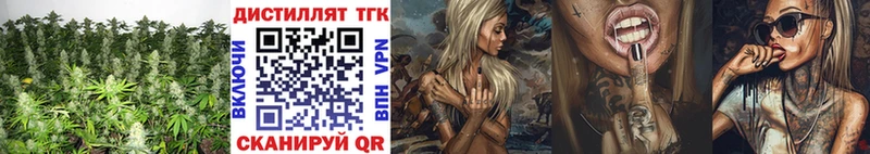 Дистиллят ТГК концентрат  закладки  Вяземский 